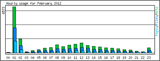 Hourly usage