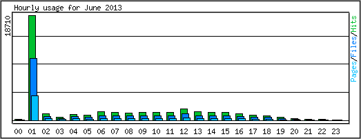 Hourly usage