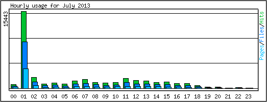 Hourly usage