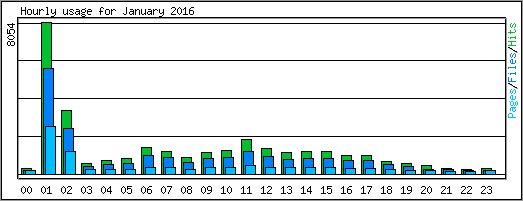 Hourly usage