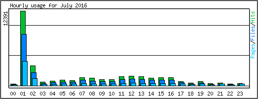 Hourly usage