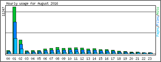 Hourly usage
