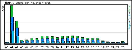 Hourly usage
