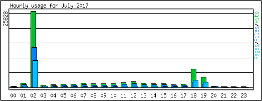 Hourly usage