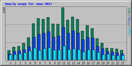 Hourly usage for June 2017
